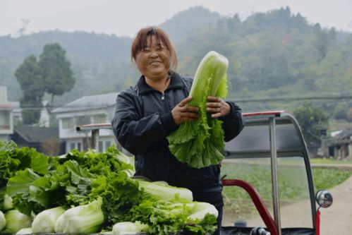 看到这些笑脸,我也乐了