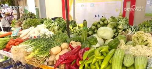 菜品种类丰富 肉类价格稳定 广东梅州多举措保障市民 菜篮子 供应