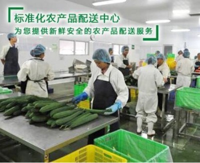 中堂蔬菜配送服务公司