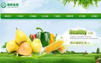 借助移动互联网 湖北创业团队滋农春天助力农产品销售