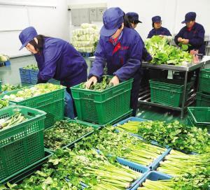 新鲜食材配送存在的问题核心关键有哪些?