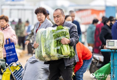 内蒙古呼和浩特 冬储菜上市销售忙