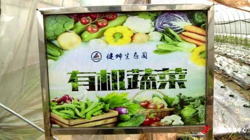 线上平台助力攸县健坤农业 从体验式采摘到农产品送货上门的创新之路