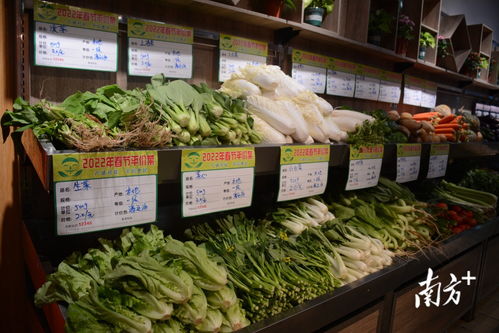 春节前电白15种蔬菜平价销售 价格下降30%以上惠及居民