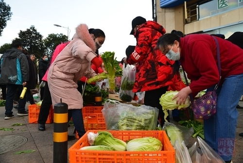雅安 每日2.5万公斤蔬菜保供稳价，平价蔬菜上线获市民点赞