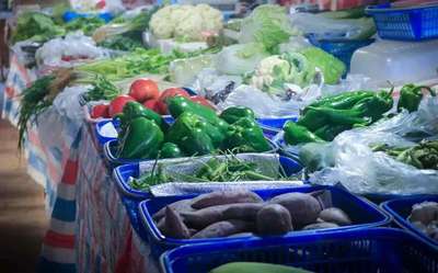 生鲜赛道溃败大潮中，本来生活如何靠蔬菜经营求得生存？