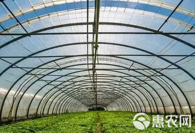 专营大棚管材、骨架与材料 助力现代种植与养殖大棚发展