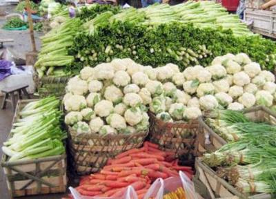 从菜摊到蔬菜帝国 一位菜贩的创业传奇