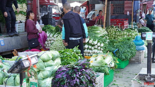 成都全市益民菜市春节不打烊，确保市民“菜篮子”供应充足