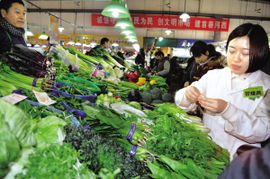 一年一精品，一会一特色 蔬菜经营的创新发展之道